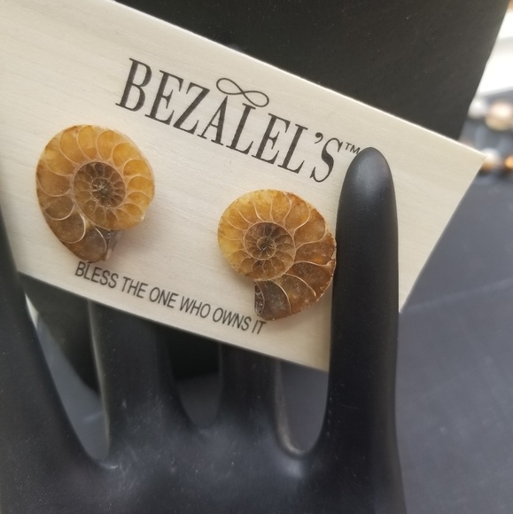 Ammonite Fossil Earrings - Picture 1 of 5